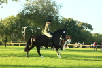 SBM_55521