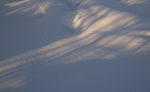 Snowscapes, Northern Finland