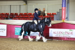 Class Q - Ridden Horse Champ portfolio