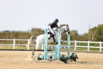 SBM_03325