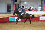 SBM_19353