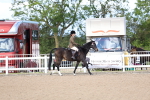 SBM_11186