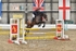 BPP_3979