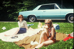 picnic 1966