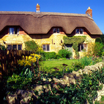 Orchard Cottage