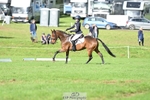 668-BOWHAYLANDS.SKYFALL-Miya.Johns-DR portfolio