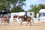 SBM_10787