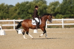 SBM_012787