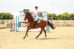 SBM_003435