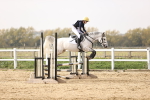 SBM_003293