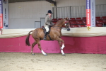 SBM_02039