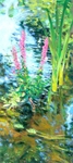 river study