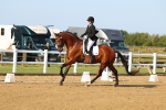 SBM_010569