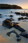 Turning Tide