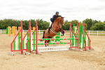 SBM_001850