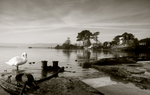 Tidal Retreat