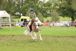 S60 - Mini Show Cob Ridden portfolio