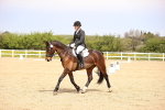 SBM_007530