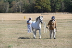 WJ6_4632