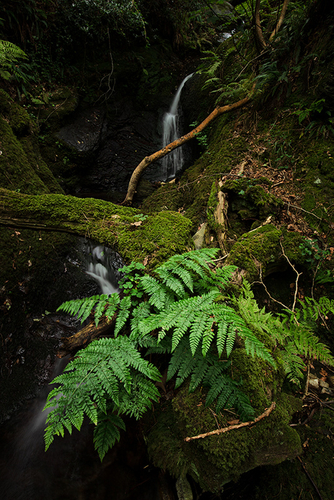 Making the most of early morning calm conditions before the wind picked up at Dhoon Glen.