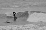 DSC_0481