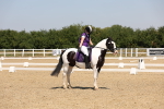 SBM_004348