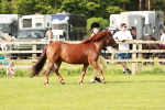 SBM_00492