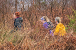 HTE Winter 10-648