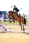 Class 8 - 95cm Amateur Championship Qualifier portfolio