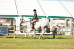 SBM_20109
