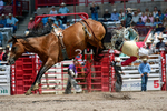 3HRodeo7-25-25_CFD_01408_