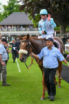170524-Race 4-Giavellotto-8217