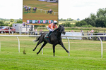 Race 1 14.00pm Pinker's Pond Apprentice Handicap portfolio