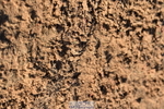 231101A-133322-00359
