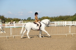 SBM_02225