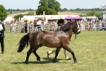 SBM_06862