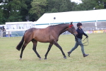 SBM_11453