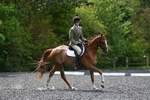 WJ5_9983