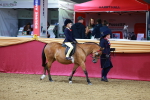 SBM_00304