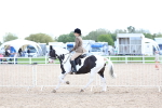 SBM_17172