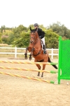SBM_005080