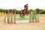 SBM_001536
