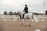 SBM_06167