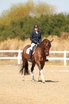 SBM_017920