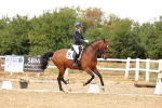 SBM_006684