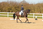 SBM_003597