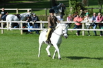 SBM_50306