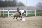 SBM_004431