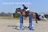 BPP_7568