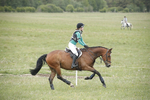 BVHT 140517  NXC -488